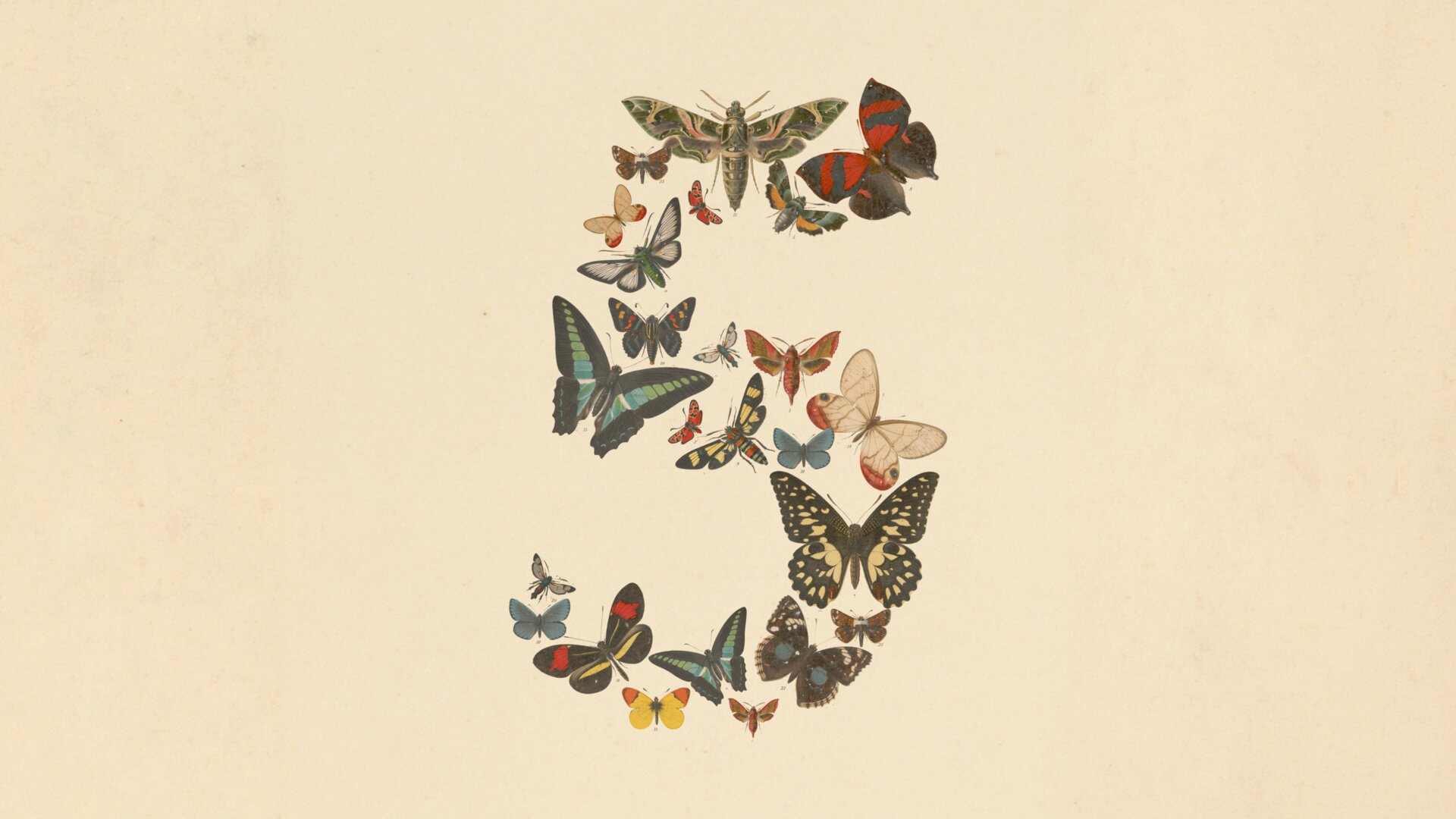Claude Fable 5 and Mythos 5 announcement artwork by Anthropic: the number five composed of butterflies